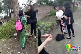 安徽校园暴力吃瓜,真相与反思