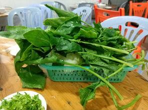 潮州龙湖吃瓜,夏日吃瓜盛宴，品味传统与现代交融的潮州风情