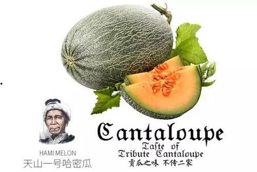 吃瓜拍照神器推荐下载