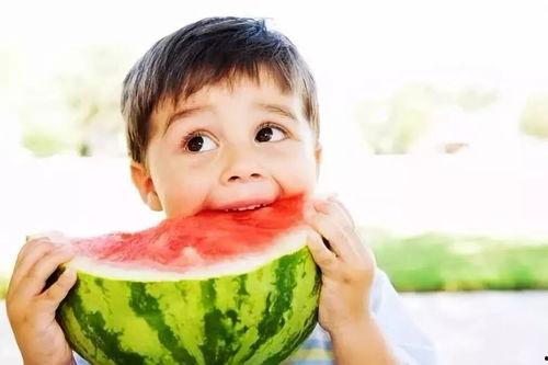 婴儿可以吃茄瓜吗,茄瓜的营养价值与适宜食用时间