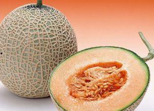 孕十七周可以吃哈密瓜,哈密瓜滋养孕期健康