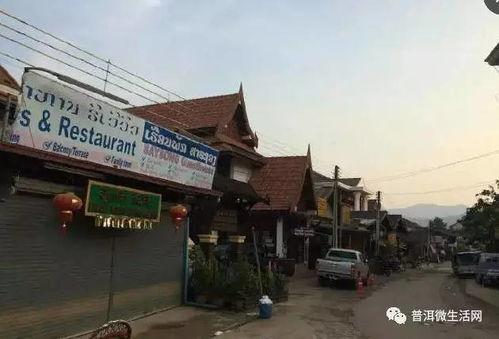 吃瓜普洱学院,揭秘茶艺与生活的完美融合