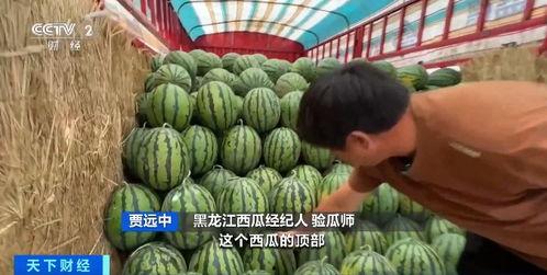 沛县燕子吴彪吃瓜,吃瓜群众的趣味生活