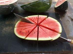 少年吃瓜烤火,共享欢乐时光