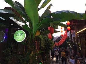 吃老街瓜,品味瓜香四溢的市井生活