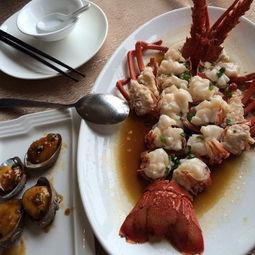 厦门鹭江吃瓜,夏日吃瓜指南，尽享海滨清凉时光