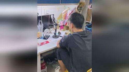 宿舍吃瓜视频自取,揭秘校园生活趣味瞬间