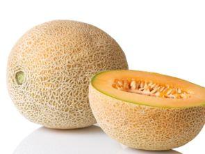 羚羊吃哈密瓜,探寻哈密瓜的独特魅力