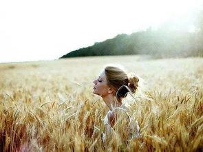 吃瓜 auntcass,瓜界风云录