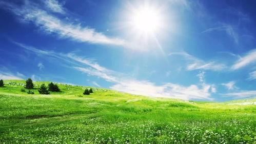 朝阳吃瓜天空花园,天空花园的夏日盛宴