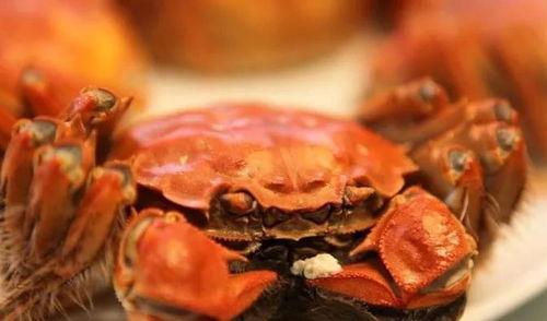 蟹蟹吃瓜,揭秘娱乐圈的甜蜜瓜田