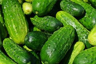 梦见吃死人卖的瓜,揭秘“吃死人卖的瓜”背后的神秘寓意