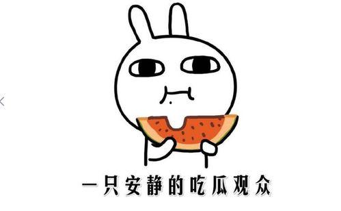 描写吃瓜的句子,一场味蕾的盛宴