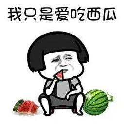 每日吃瓜快乐,快乐生活每一天