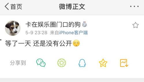 吃瓜爆料专用号,吃瓜爆料专用号独家爆料，明星幕后故事大公开