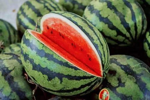 野外吃瓜教程,轻松学会野外吃瓜技巧