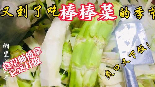 绍兴教师吃瓜,一场“吃瓜”背后的校园饮食安全探讨