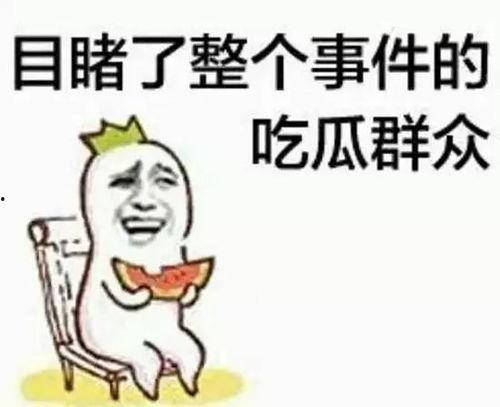 鹅城吃瓜群众,揭秘网络热点的幕后故事